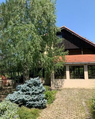 Vila Timok