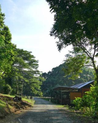 西必洛住宿加早餐旅馆