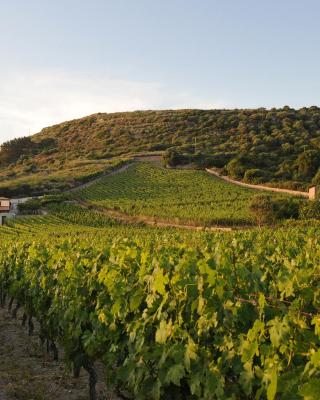 Casa nel vigneto con vista mare