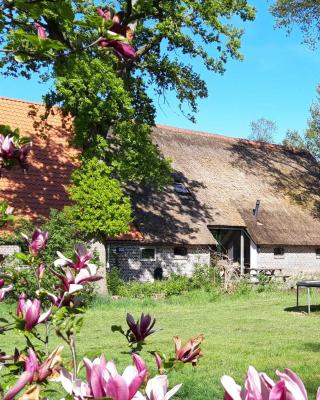 Sfeervolle vakantiewoning midden in het Drents-Friese Wold