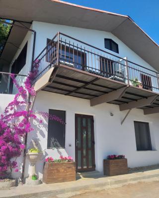 Detached house with garden and sea view