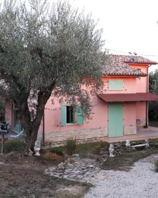 Le Rondini