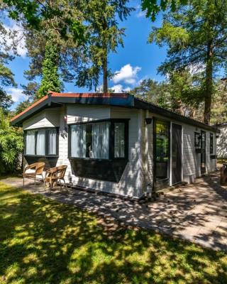 Chalet "de Hazelnoot" te Diever