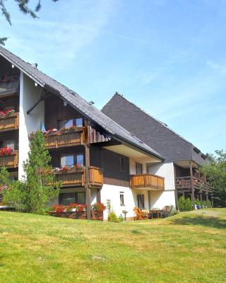 B4 Albmatte-FEWO Sauna, Hallenbad Außenbecken Massagen nebenan