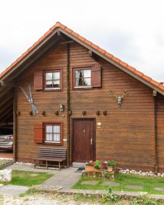 Chalet in Hinterrod Thuringia with sauna