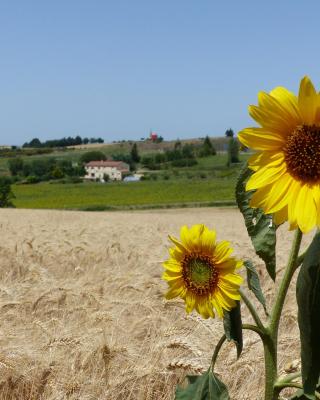 Gites des Camparros