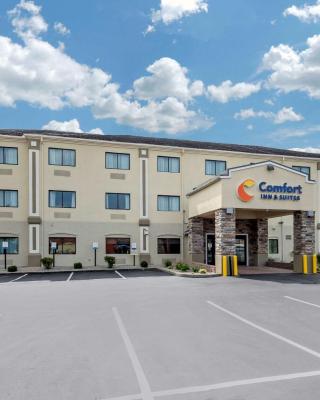 Comfort Inn & Suites Middletown - Franklin