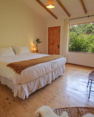 El Arbol Eco Lodge