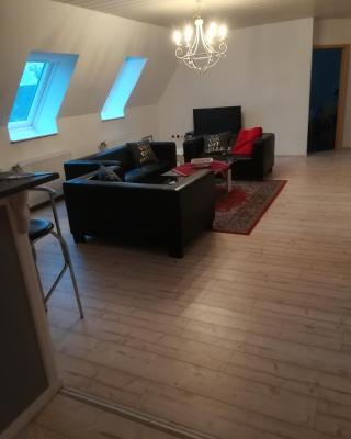 Ferie Apartment Skovby Fyn