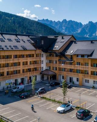 Luxurious Apartment in Gosau near Ski Area