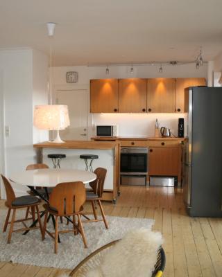 Copenhagen large Penthouse Apartment