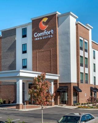 Comfort Inn & Suites Downtown near University