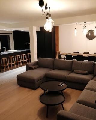 appartement deluxe Orly 2