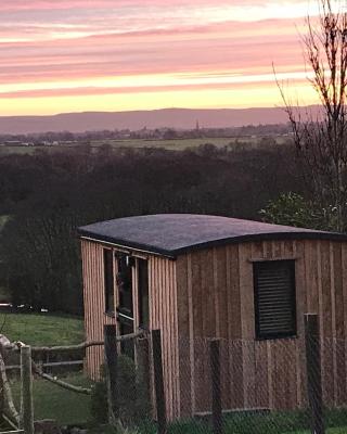 Stunning Shepherds Hut rural bliss Dumfries