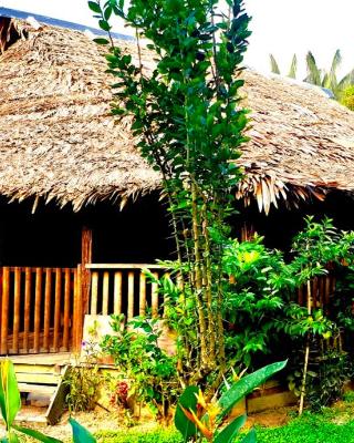 Bungalow In The Jungle -Ecolodge HUITOTO