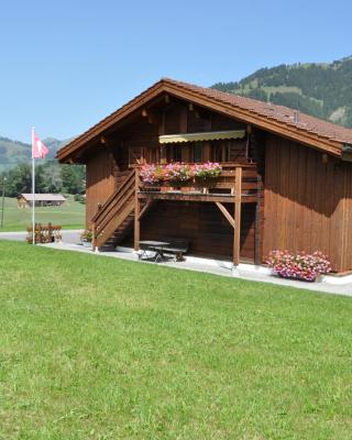 Alpenchalet Weidhaus Gstaad mit Ferienwohnung-Studio-Stockbettzimmer alle Wohneinheiten separat Buchbar