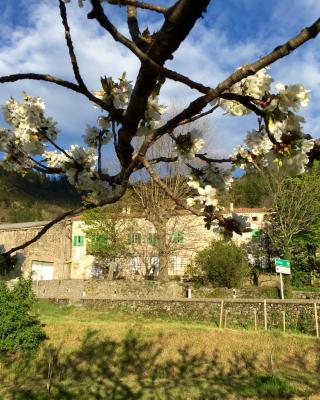 Moulin A