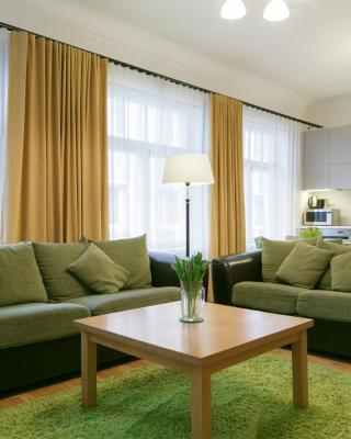 Saaresalu City Center Apartment