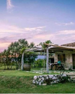 Vineyard Eco Cottage near Dubrovnik