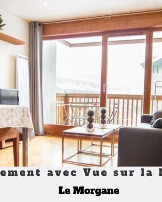 2 Appartements à Chamonix centre ville, vue Mont-Blanc, Lyret ou Morgane