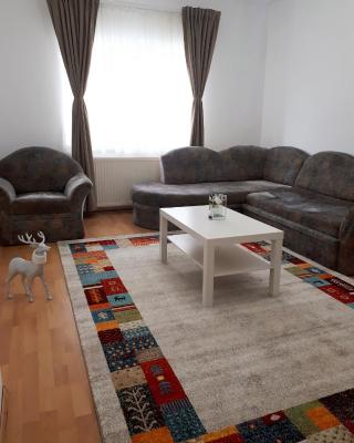 Apartament Happynest