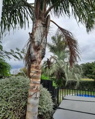 Tui Glade Bed and Breakfast
