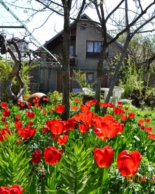 Milorava's Guest House & Wine Cellar