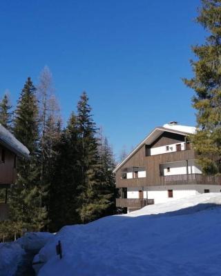 Wonderful Attic in Dolomite's Heart