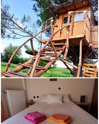 Cuckoo's nest tree house