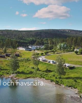 Måvikens Camping