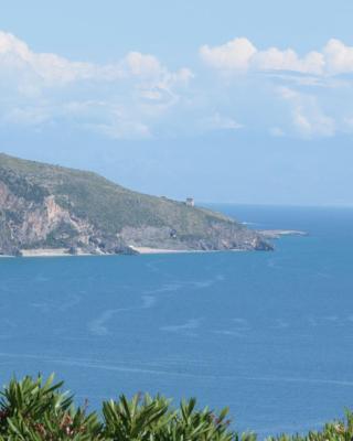 B&B La Carminella