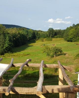 CŒUR VERT ökologisch mit viel Ambiente für Seelen-Wellness