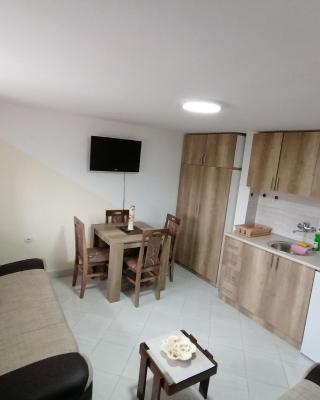 Apartman Radojković