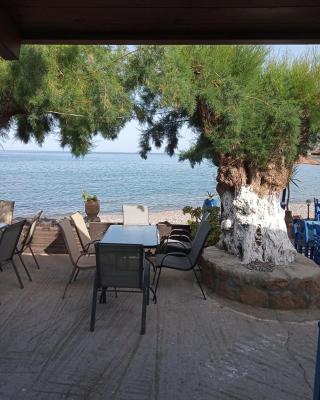 Beach Front Kato Zakros