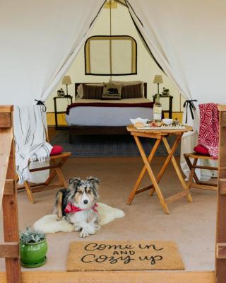 Wildhaven Sonoma Glamping