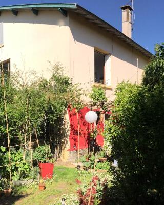 La Bulle dans le Palmier