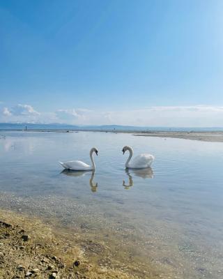 " Sunshine am See "