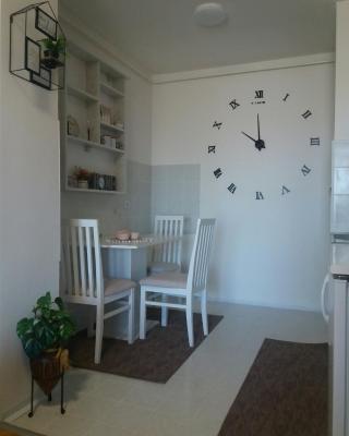 Apartman Breza