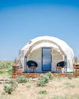 Amanya 1-Bed Leopard Tent