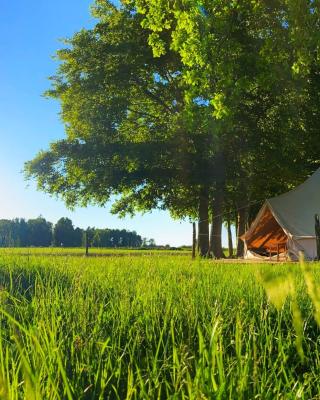 Under Canvas Bornholm