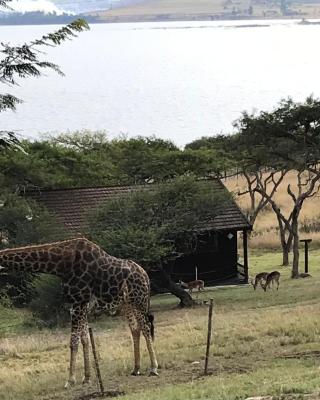 Hoopoe log cabin