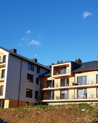 Apartmán Šumavský Buk 14 Brčálník