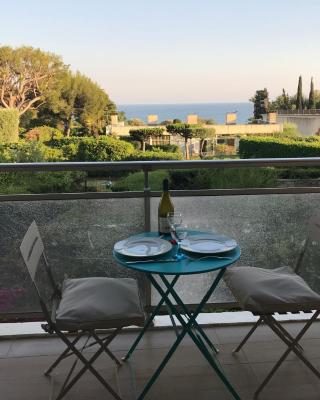 Appartement vue mer et terrasse quartier calme à La Ciotat