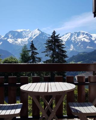 Appartement Saint Gervais les Bains vue imprenable Mont Blanc