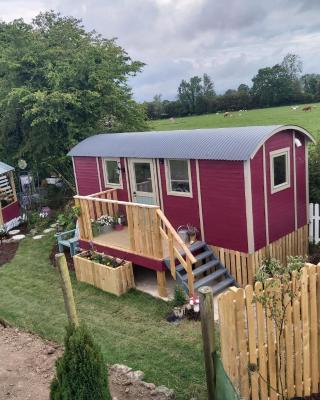 The Feathers Shepherds Hut