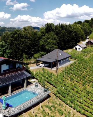 Vineyard Paradise Senica