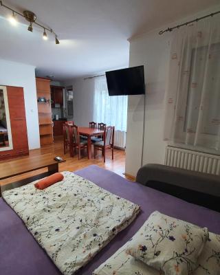 Fischer Apartman 3