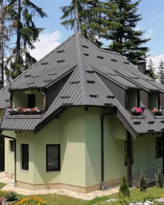 Vila PARADIZO-ZLATAR, studio apartman 1