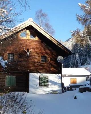 Ski- und Sommer-Chalet für 10 Personen in Dienten am Hochkönig