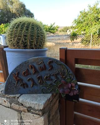 Cactus Home